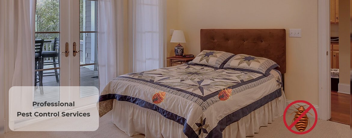 Bed Bug Treatment London ontario